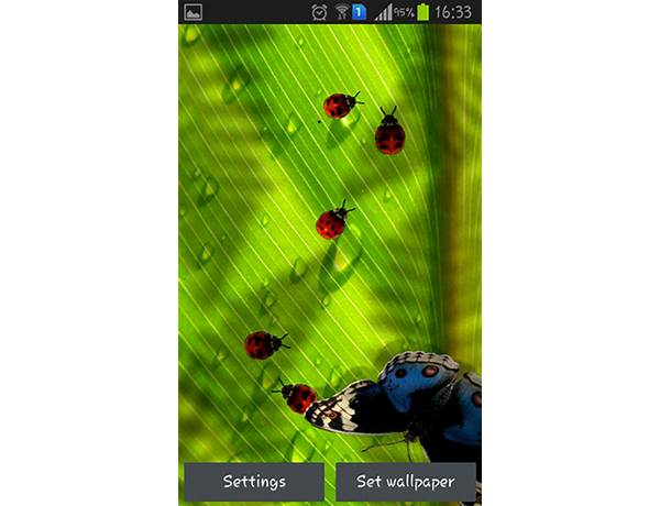 Friendly Bugs Free for Android - Download the APK from Habererciyes